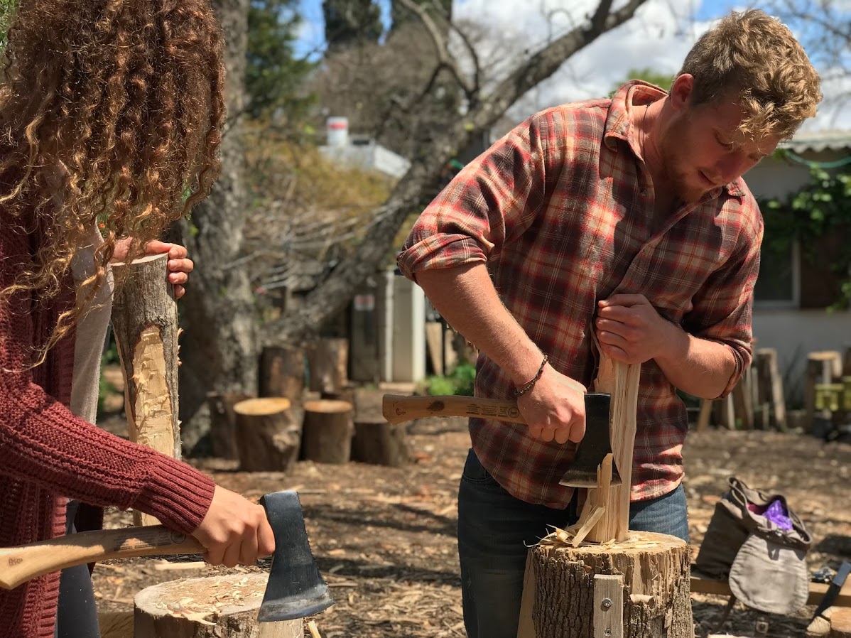 סדנאות גילוף כף כץ
