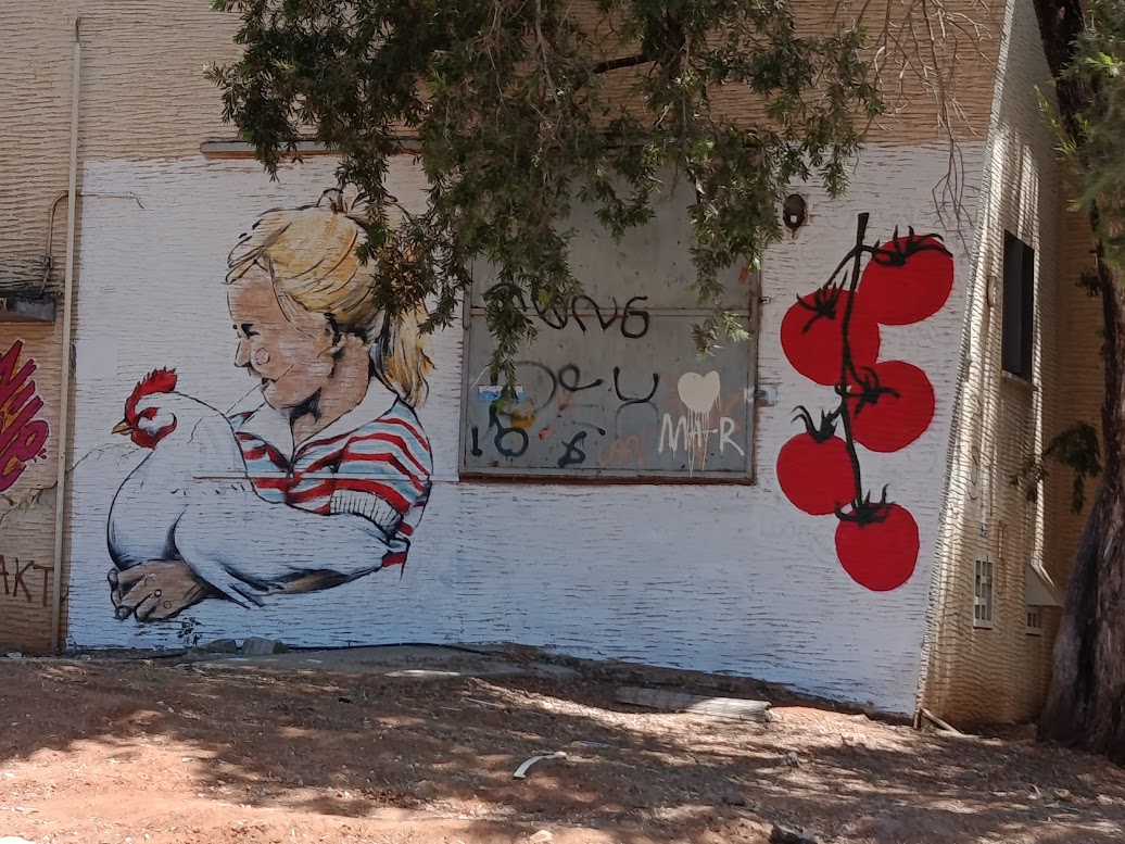 אחורי בית העם כפר הס